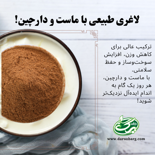 تاثیر دارچین و ماست بر لاغری