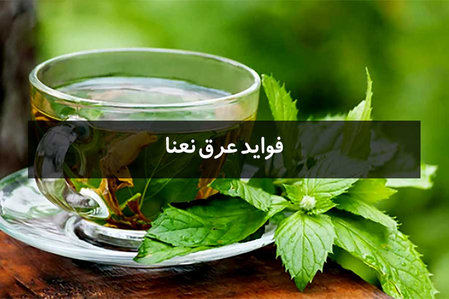 فواید عرق نعنا | چرا عرق نعنا باید بخشی از رژیم غذایی شما باشد؟