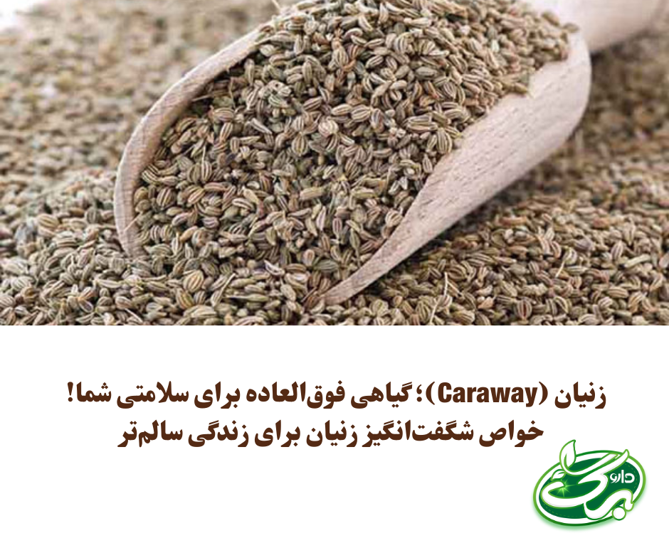 خواص زنیان - داروبرگ