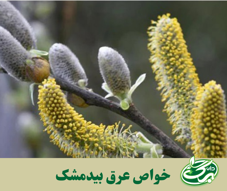 بهترین خواص عرق بیدمشک