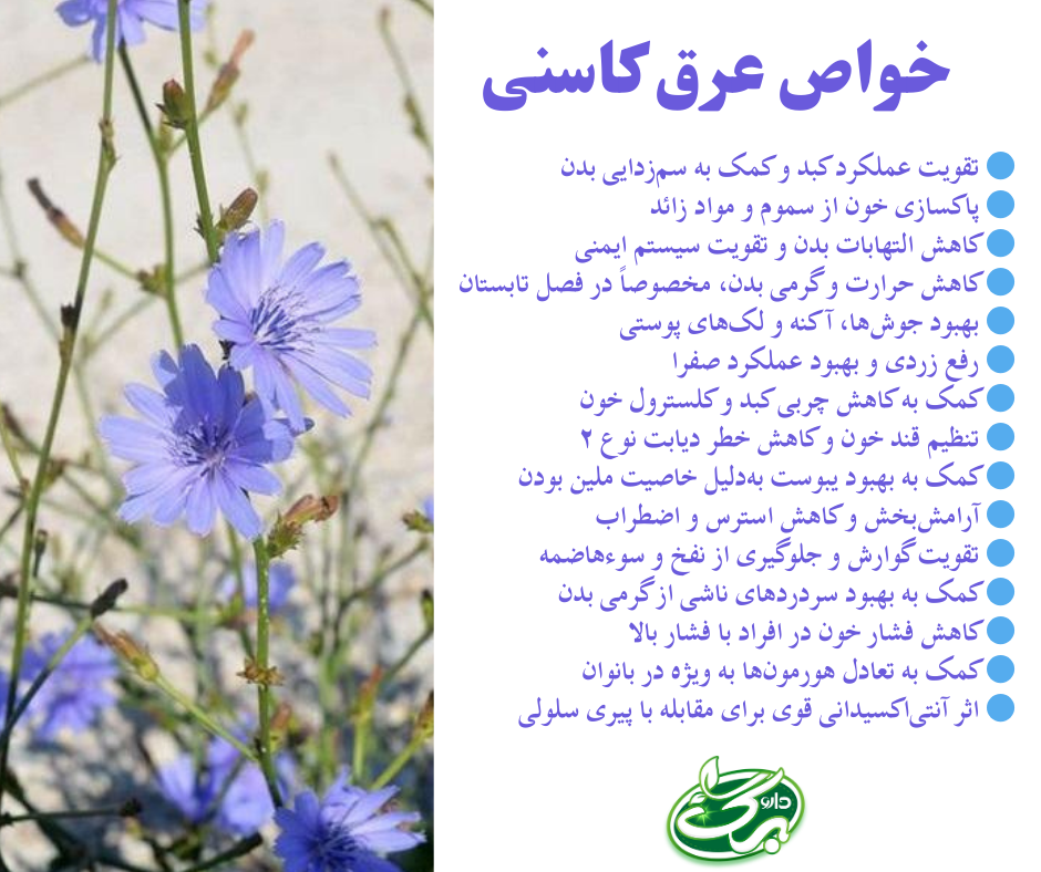 مهمترین خواص عرق کاسنی به صورت موردی