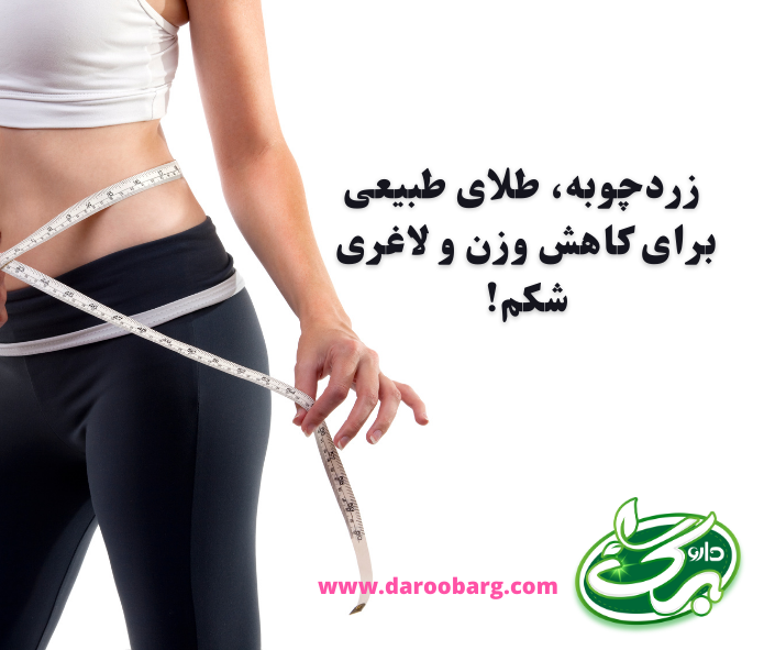 زردچوبه برای لاغری شکم