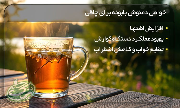 خواص عرق بابونه برای چاقی