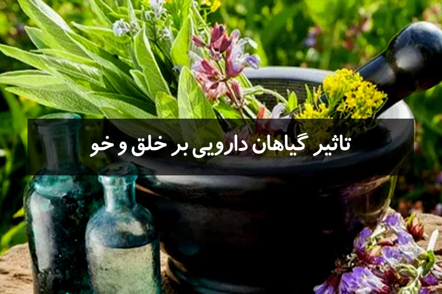 مهمترین گیاهان دارویی بر خلق و خو