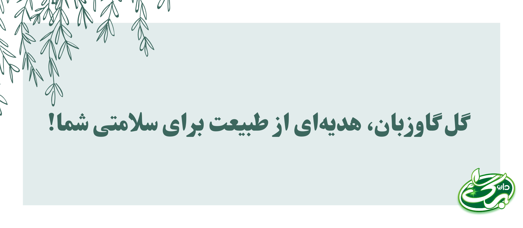 11 خاصیت شگفت انگیز دمنوش گل گاوزبان