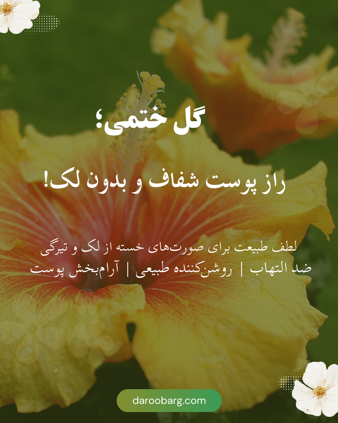خواص گل ختمی برای لک صورت
