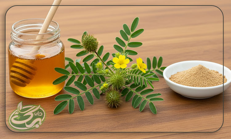 روش مصرف عرق خارخاسک