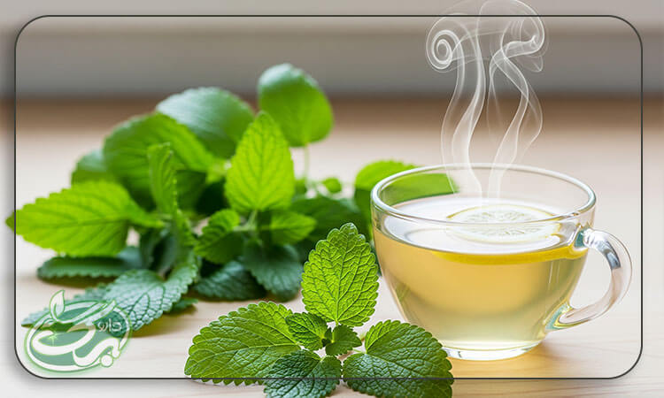 بادرنجبویه و تأثیر آن بر آرامش