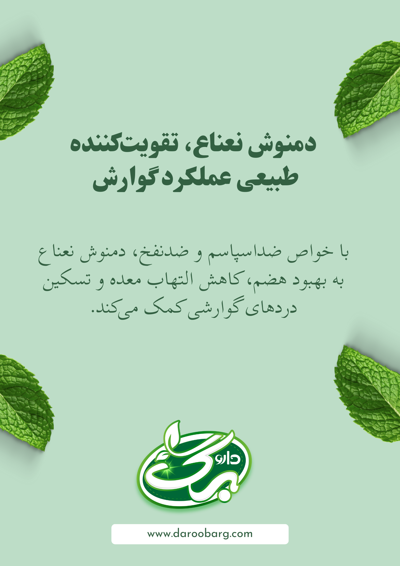 تأثیر دمنوش نعناع هضم و سلامت سیستم گوارش