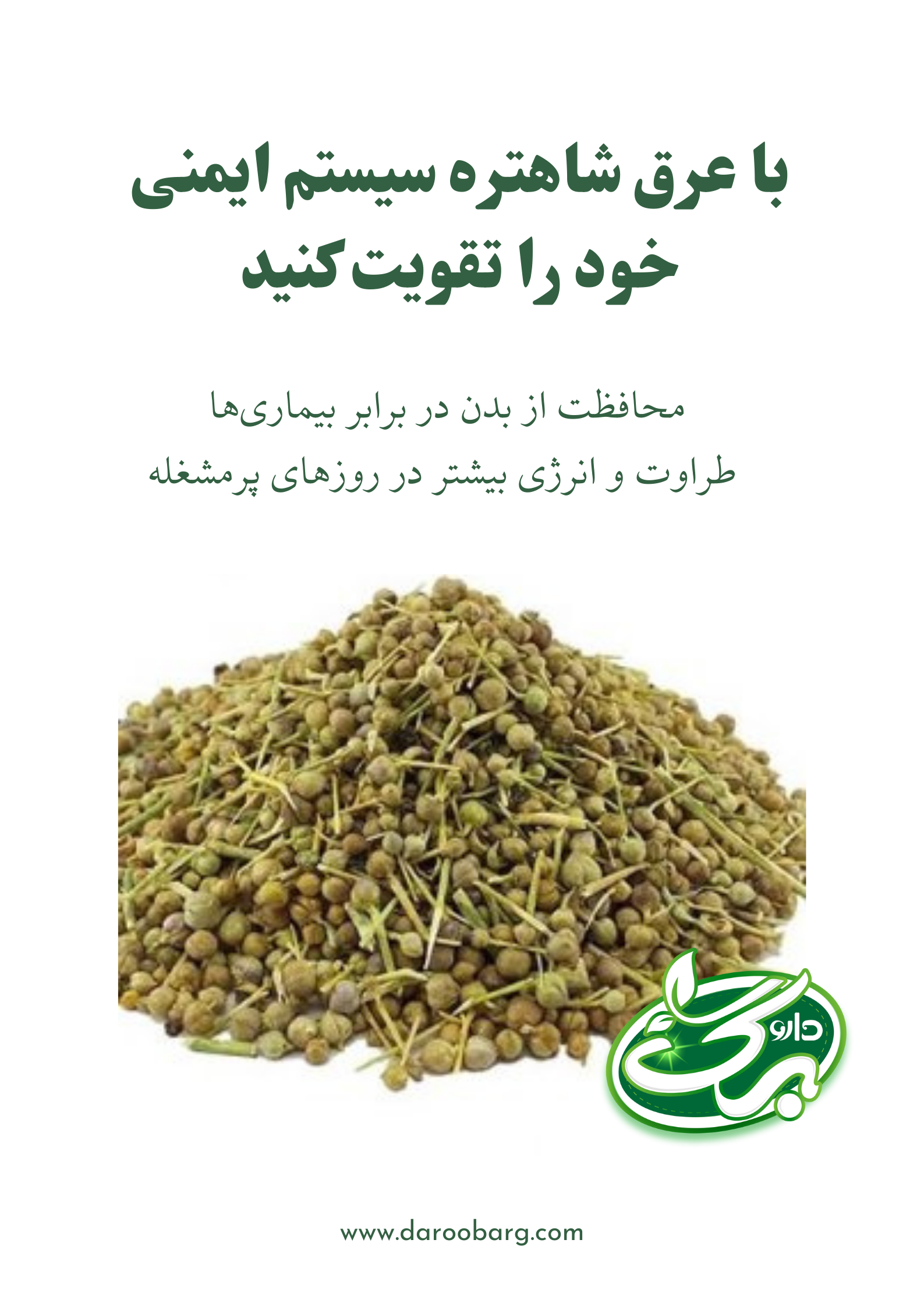 خواص عرق شاهتره و بذر شاه تره خرید آنلاین