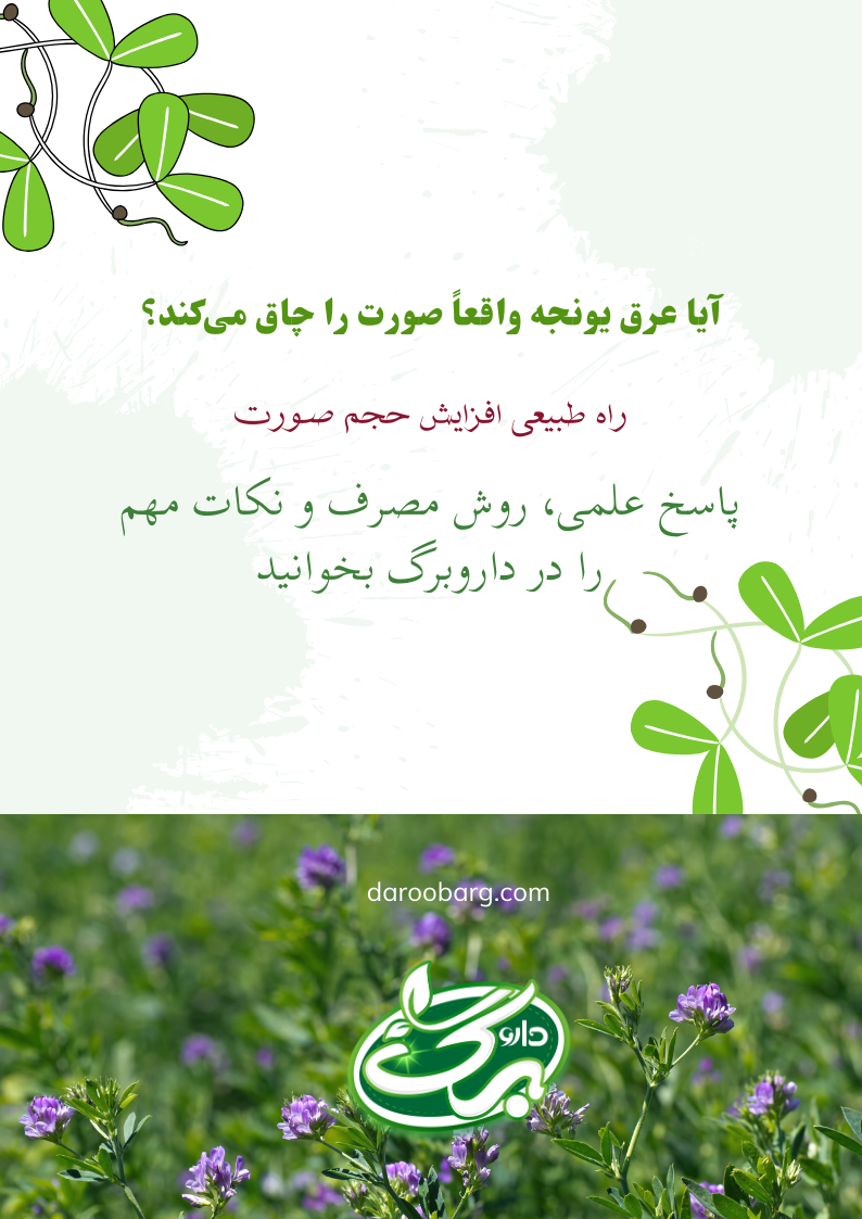 عرق یونجه برای چاق شدن