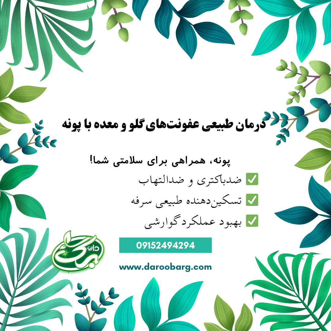 خواص عرق پونه برای سلامت بدن - داروبرگ