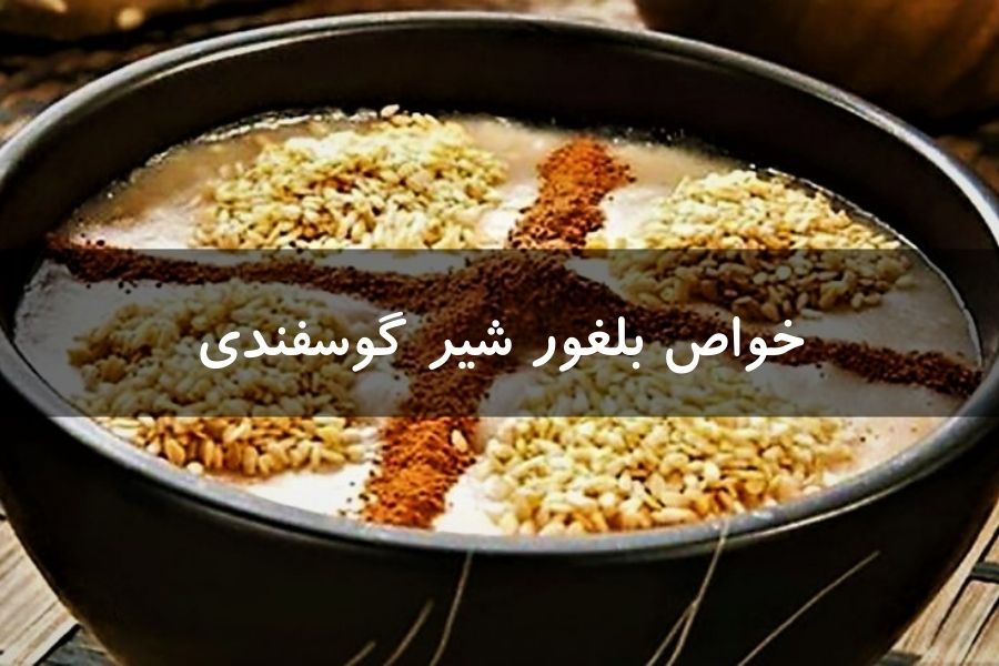 خواص بلغور شیر گوسفندی