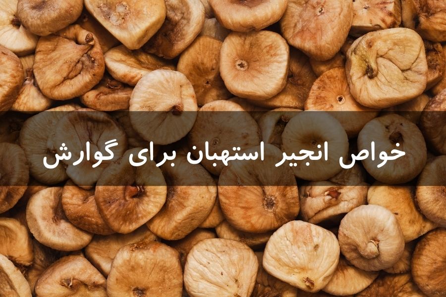 خواص انجیر استهبان برای گوارش