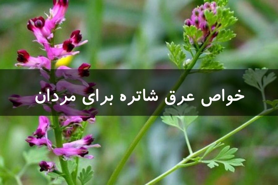 خواص عرق شاتره برای مردان