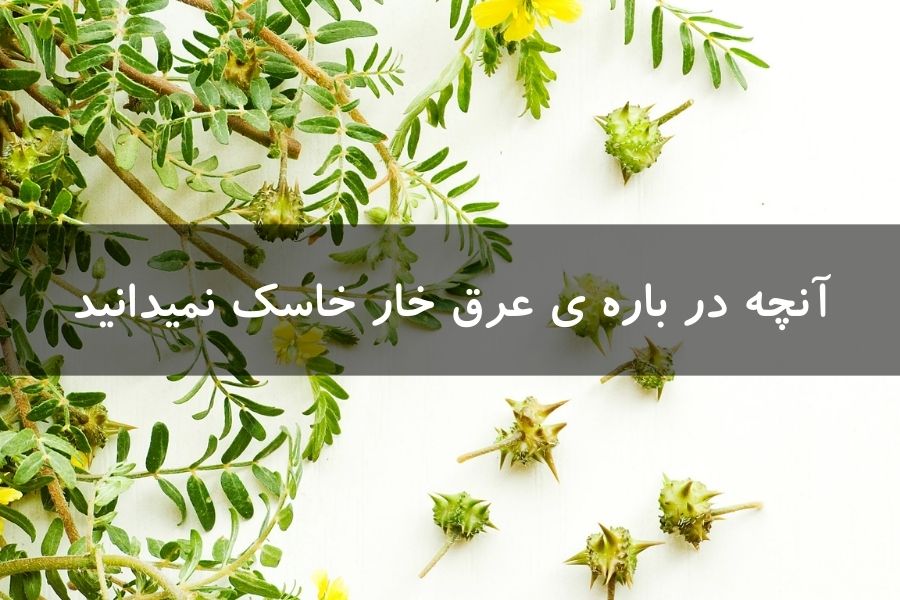 آنچه درباره عرق خارخاسک نمیدانید