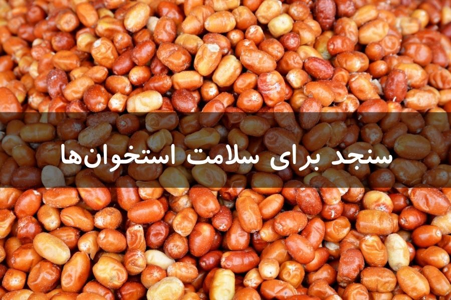 چطور از سنجد برای بهبود سلامت استخوانها استفاده کنیم؟