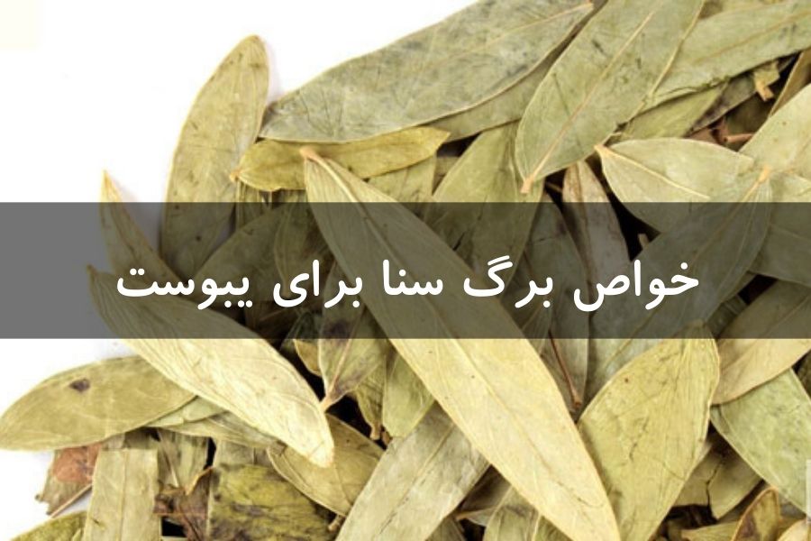 خواص برگ سنا برای یبوست