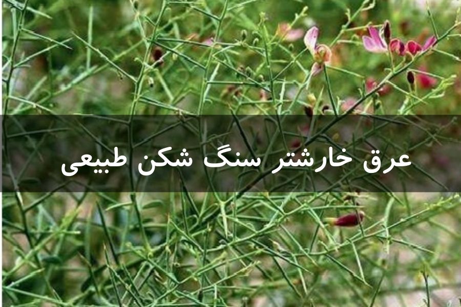 عرق خارشتر سنگ شکن طبیعی