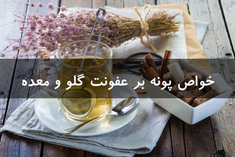 15 مورد از خواص پونه بر عفونت گلو و معده