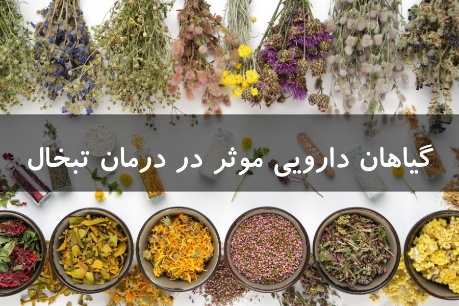 گیاهان دارویی موثر در درمان تبخال