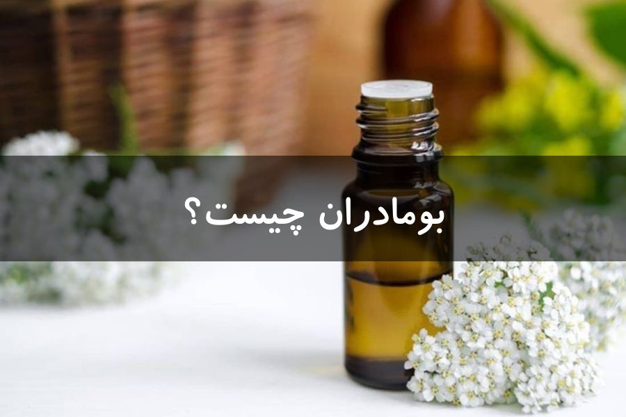 بومادران چیست؟