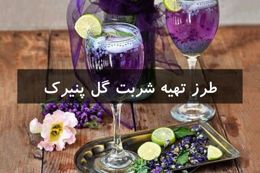 طرز تهیه شربت گل پنیرک
