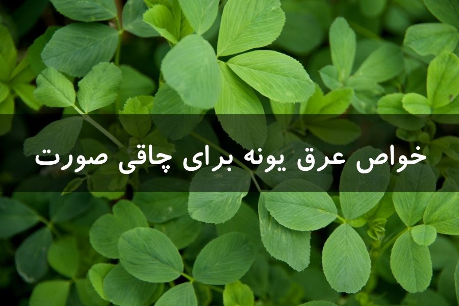 عرق یونجه برای چاقی صورت