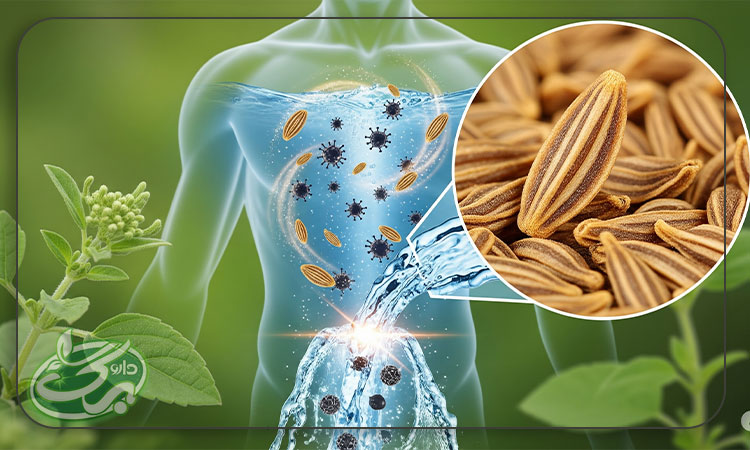 پاکسازی بدن و کاهش احتباس آب
