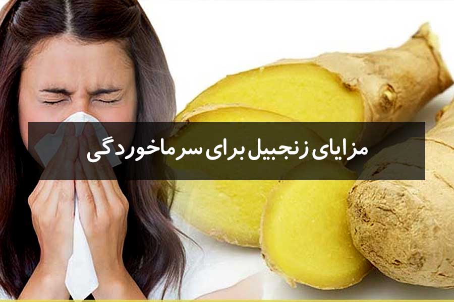 مزایای زنجبیل برای درمان سرماخوردگی و آنفلوانزا