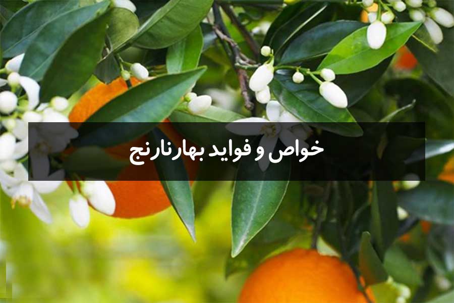 خواص و فواید بهارنارنج