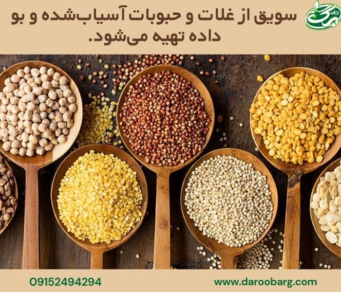 سویق چیست و چه خواصی دارد؟