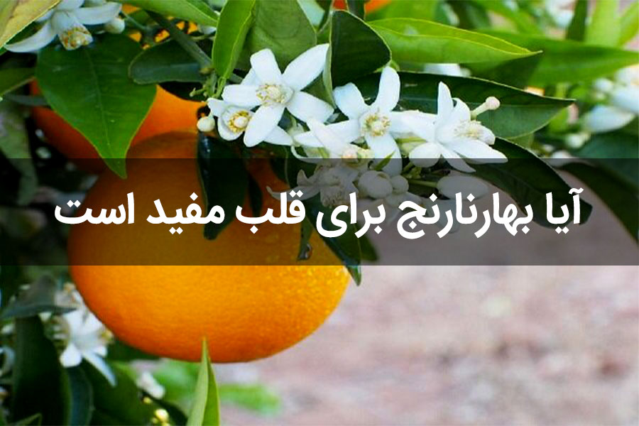 آیا بهارنارنج برای قلب مفید است؟