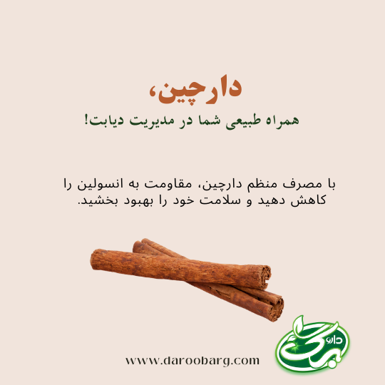 تاثیر دارچین بر دیابت - داروبرگ