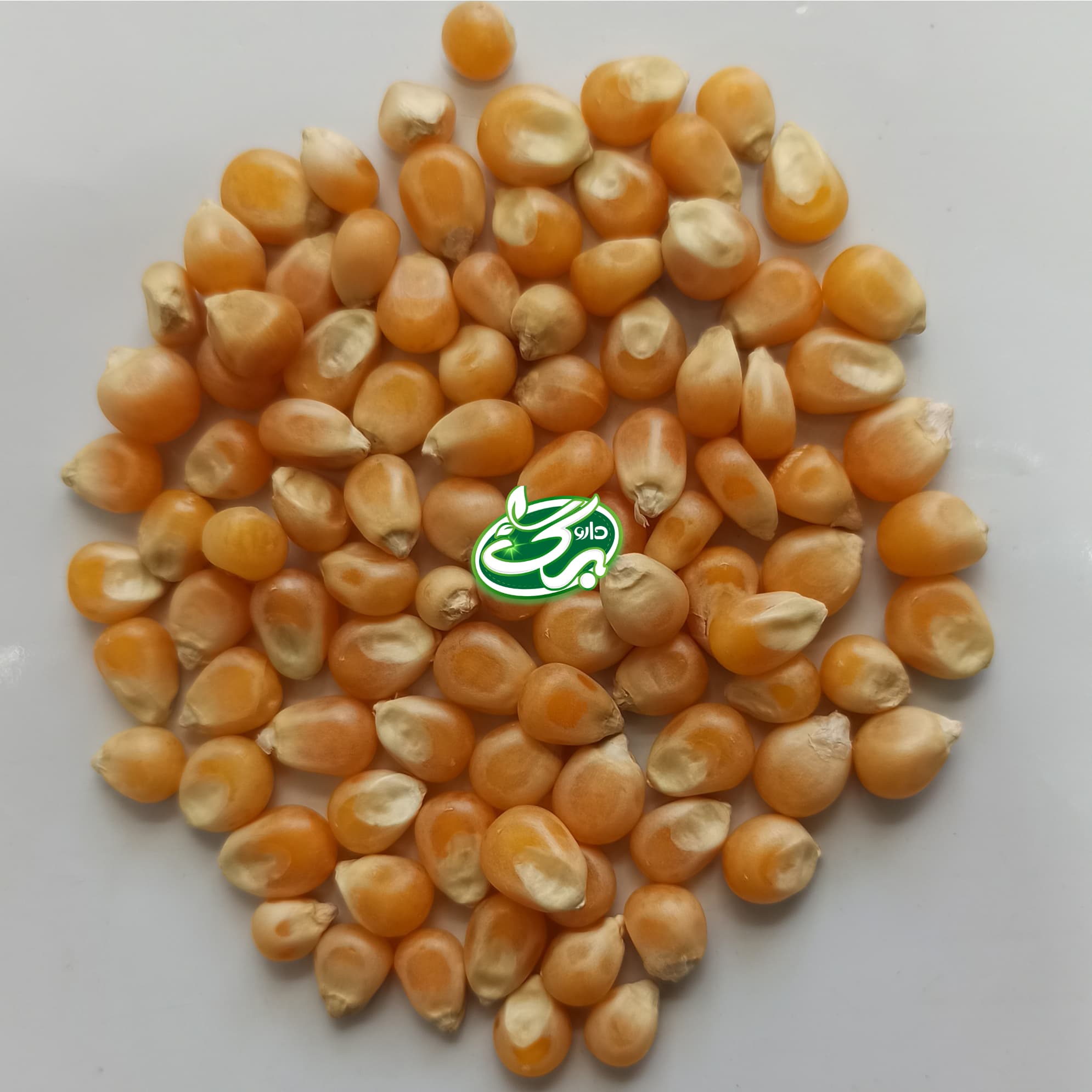 خرید ذرت - نمای 3