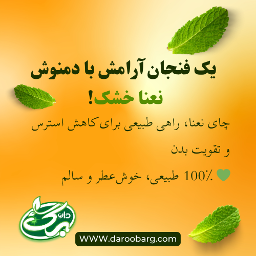 خواص نعنا خشک داروبرگ