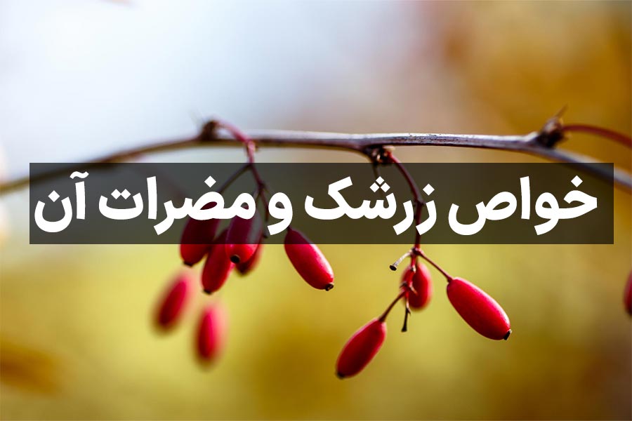 خواص زرشک