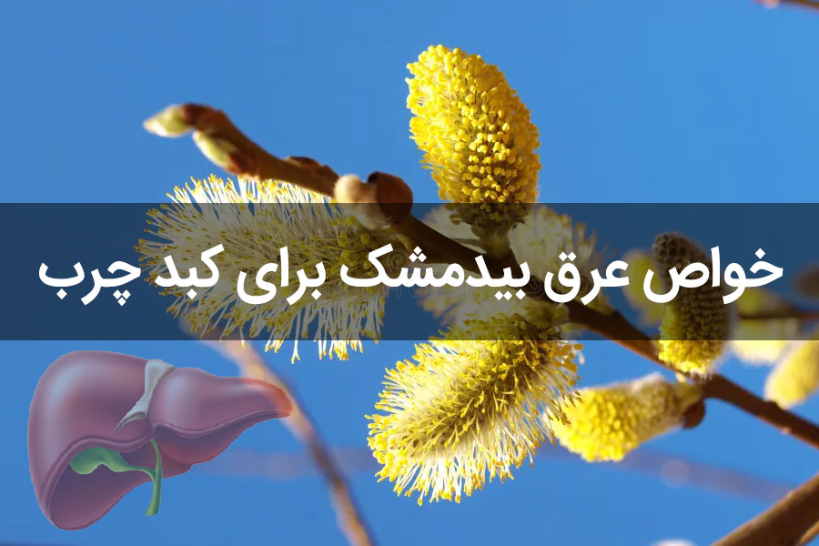 خواص عرق بیدمشک برای کبد چرب