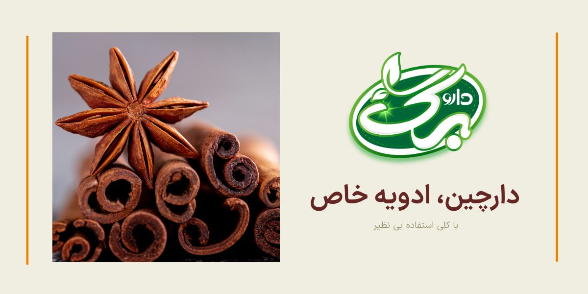 دارچین یک ادویه خاص با خواص بسیار زیاد است
