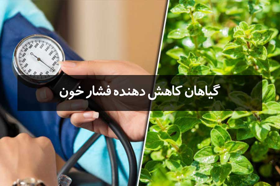 5 تا از بهترین گیاهان کاهش فشار خون بالا که باید بشناسید