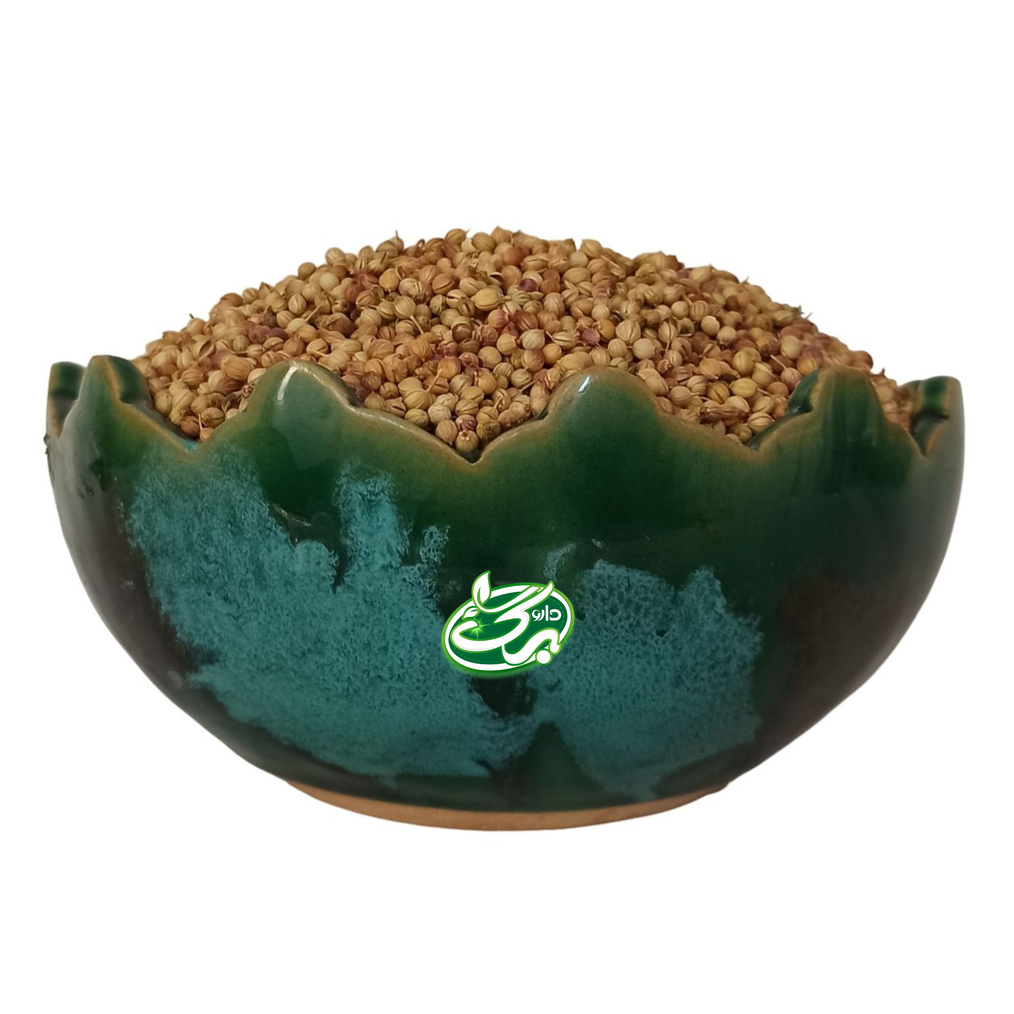 تخم گشنیز