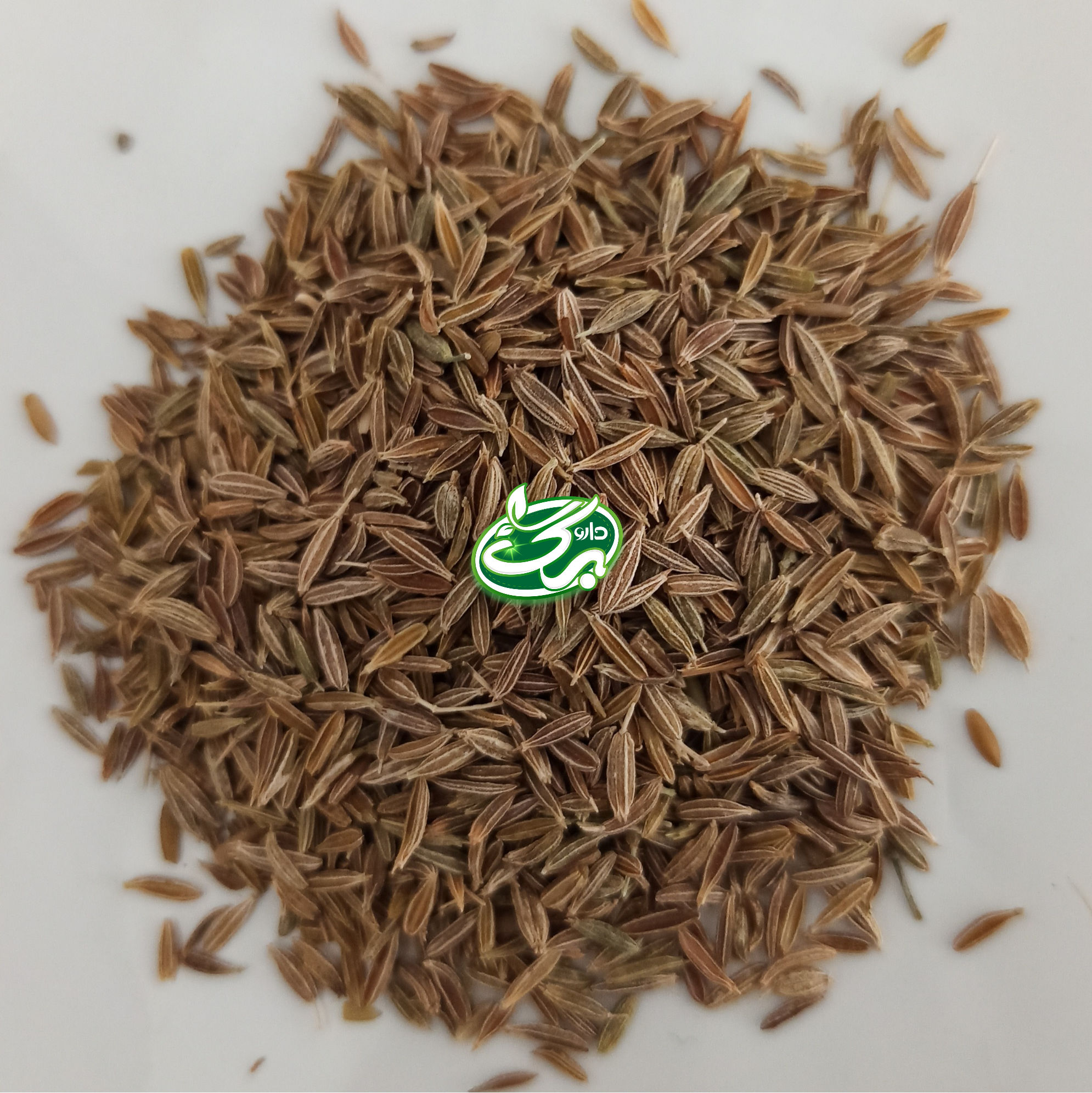 خرید زیره سبز - نمای 3