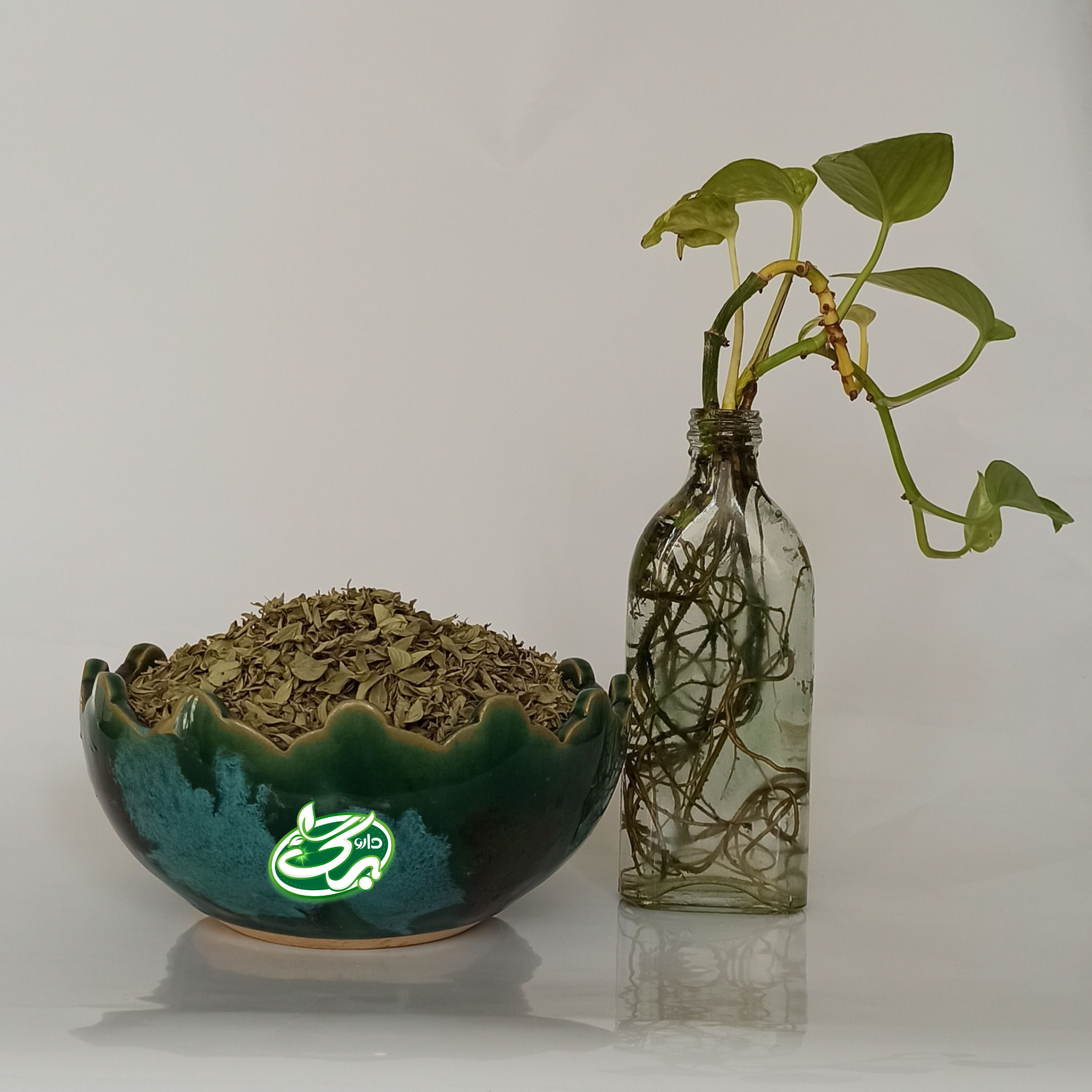 خرید کاکوتی - نمای 4