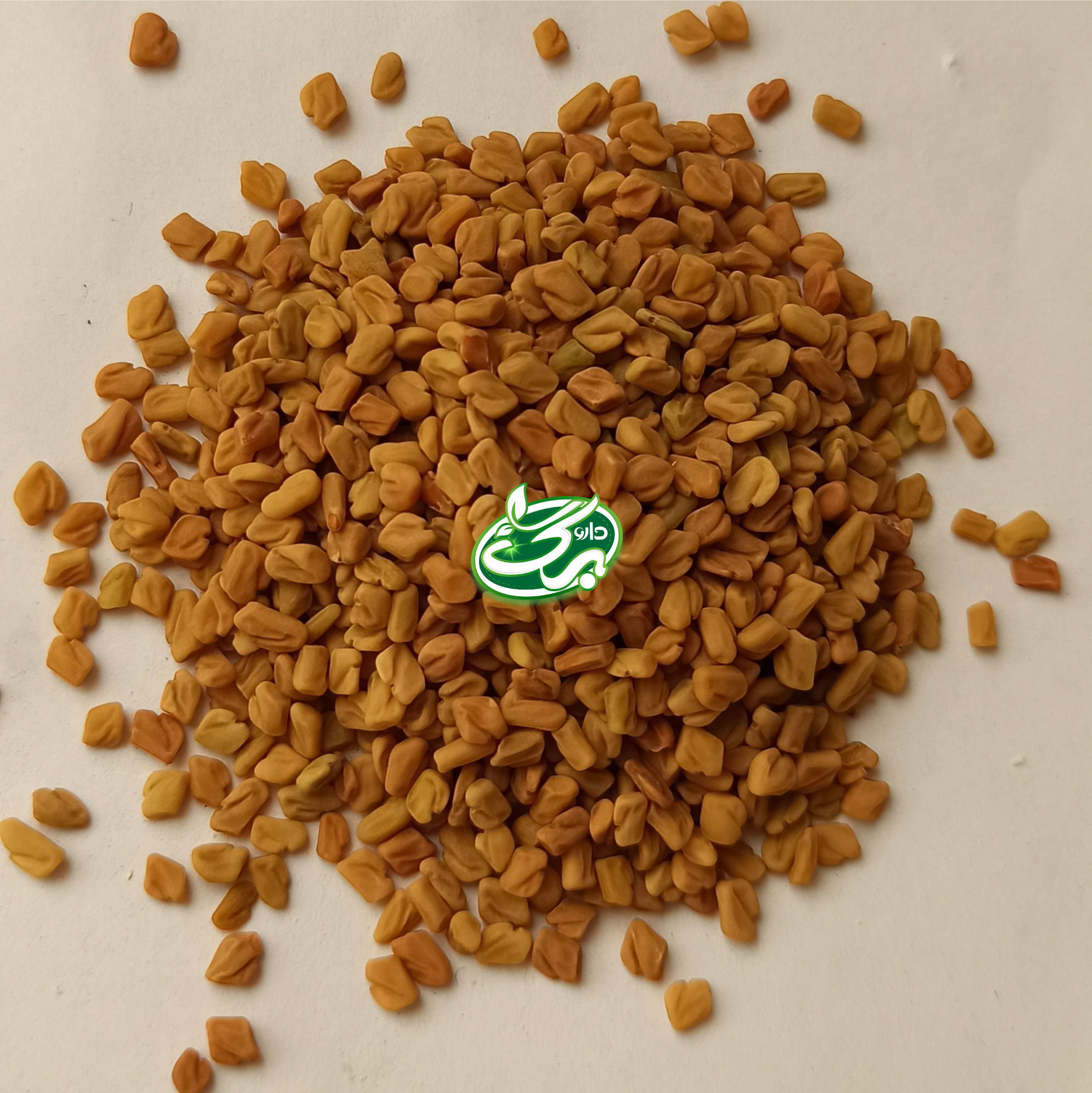خرید تخم شنبلیله - نمای 3