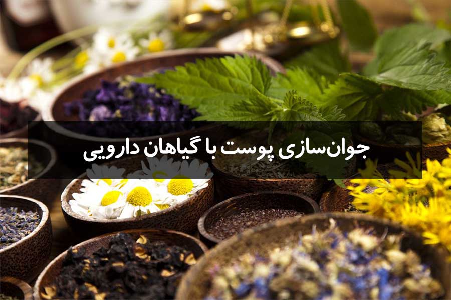 جوانسازی پوست با گیاهان دارویی