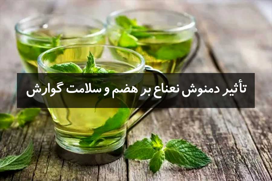 تأثیر دمنوش نعناع بر هضم و سلامت دستگاه گوارش