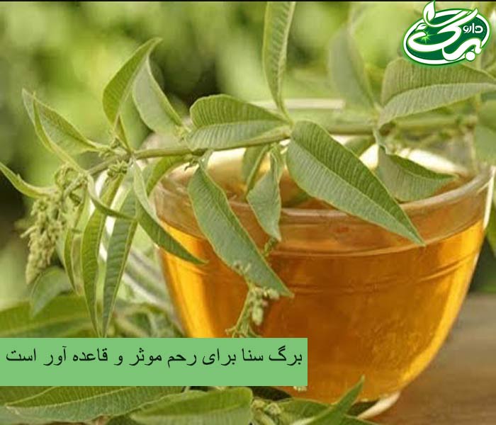 خرید برگ سنا برای رحم از داروبرگ