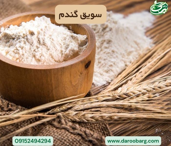 سویق گندم برای چاقی بکار میرود.