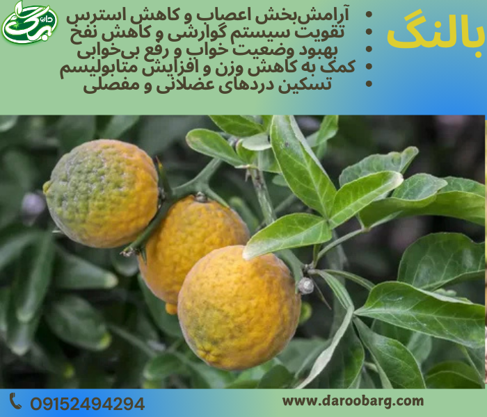 عرق اترج یک داروی گیاهی مفید است که میتواند به تقویت سیستم ایمنی، بهبود گوارش، کاهش اضطراب، تقویت پوست و مو و کمک به بهبود عملکرد کبد کمک کند.