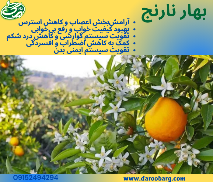 عرق بهارنارنج یک داروی طبیعی با خواص آرامشبخش، ضد التهاب و گوارشی است که نه تنها برای بهبود سلامت بدن مفید است، بلکه در مراقبت از پوست و بهبود روحیه نیز مؤثر میباشد.